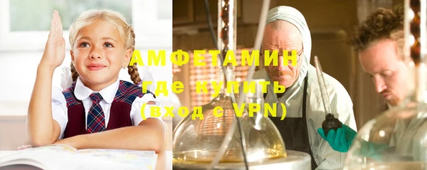 ПСИЛОЦИБИНОВЫЕ ГРИБЫ Богданович