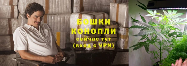 spice Бородино